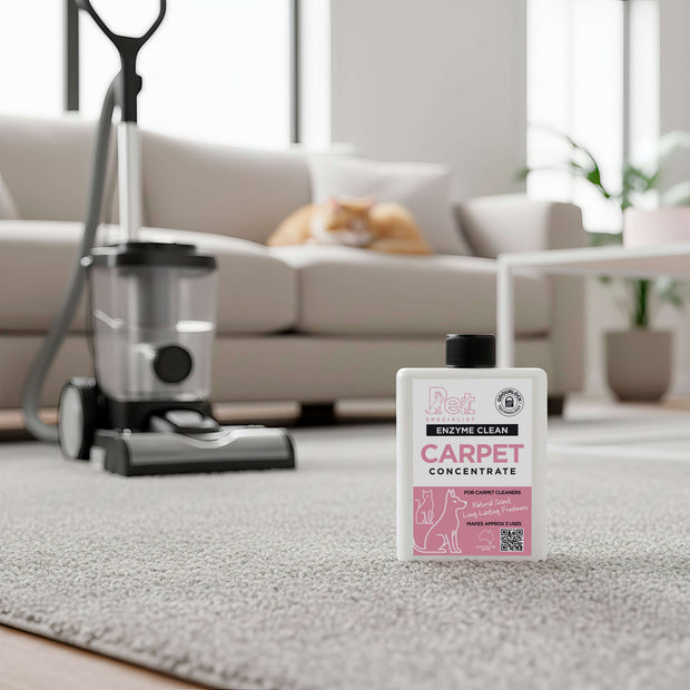 <h2>Clean & Sanitise the Home</h2>